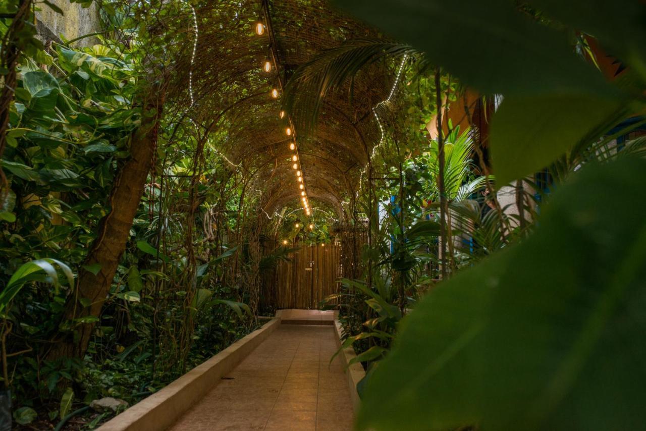 Hacienda Boutique B&B And Spa Solo Adultos Cozumel Eksteriør billede